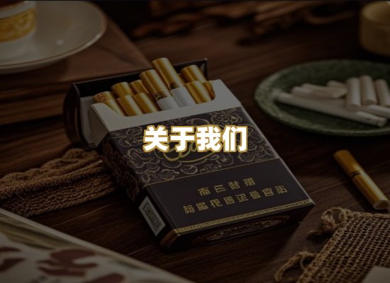 关于我们